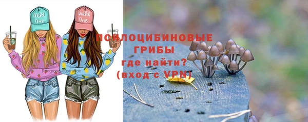 СК Нягань